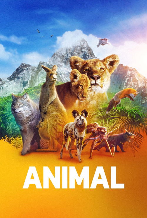 Animal : 2.Sezon 2.Bölüm