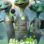 Alien TV : 1.Sezon 1.Bölüm izle