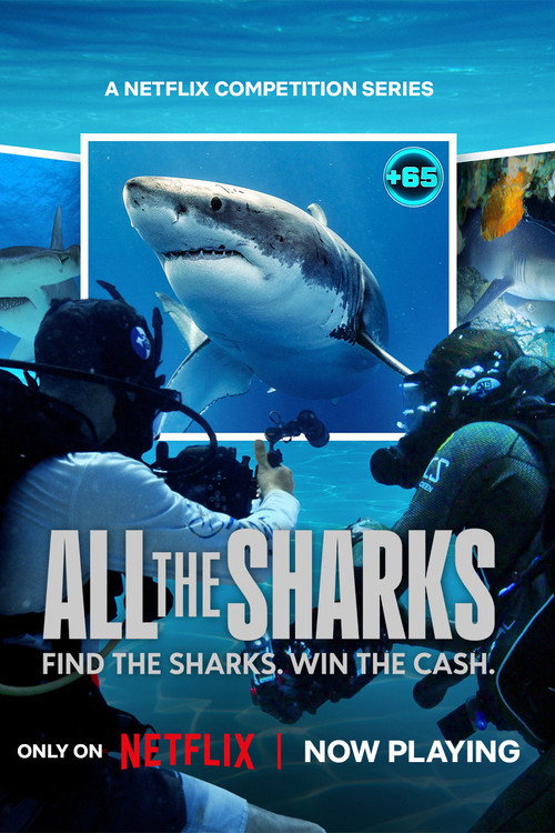 All the Sharks : 1.Sezon 3.Bölüm