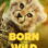 Born to Be Wild : 1.Sezon 1.Bölüm izle