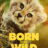 Born to Be Wild : 1.Sezon 5.Bölüm izle