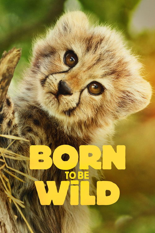 Born to Be Wild : 1.Sezon 5.Bölüm