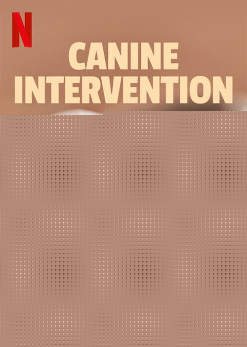 Canine Intervention : 1.Sezon 5.Bölüm