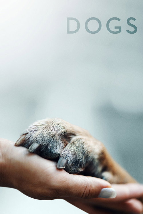 Dogs : 1.Sezon 2.Bölüm