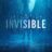 Invisible : 1.Sezon 3.Bölüm izle
