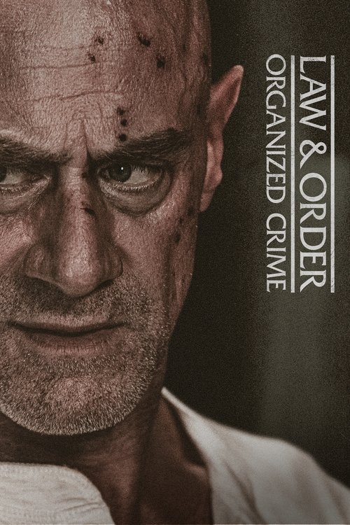 Law & Order Organized Crime : 5.Sezon 4.Bölüm