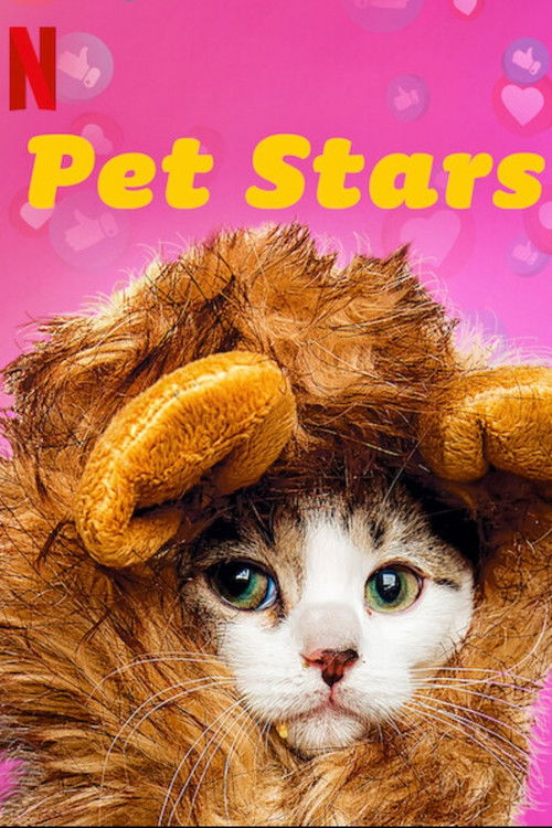 Pet Stars : 1.Sezon 1.Bölüm