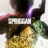 SPRIGGAN : 1.Sezon 2.Bölüm izle