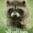 The Secret Lives of Animals : 1.Sezon 4.Bölüm izle