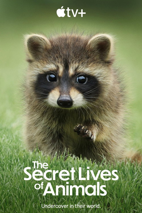 The Secret Lives of Animals : 1.Sezon 4.Bölüm