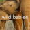Wild Babies : 1.Sezon 4.Bölüm izle