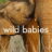 Wild Babies : 1.Sezon 8.Bölüm izle