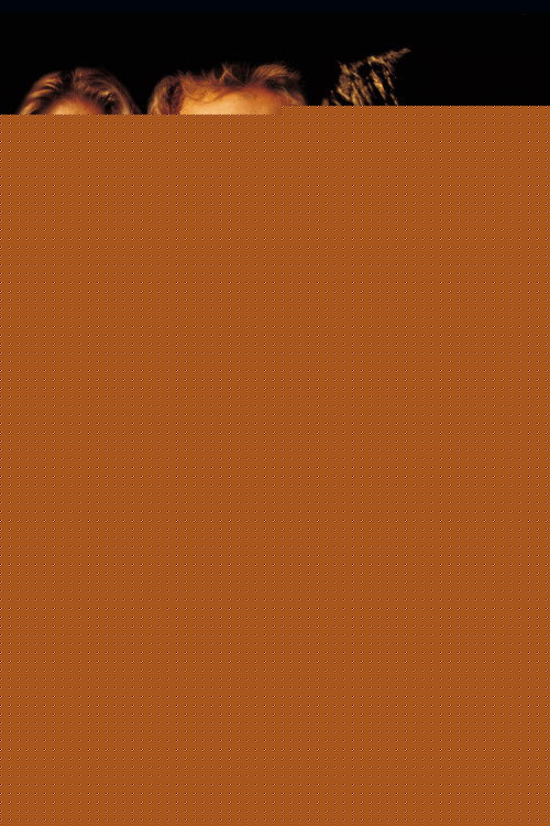 Asla Yabancılarla Oynama izle (2001)