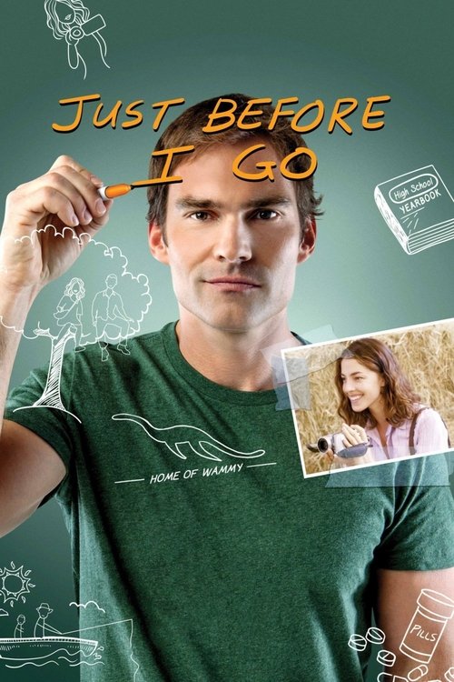Ben Gitmeden Önce izle (2015)