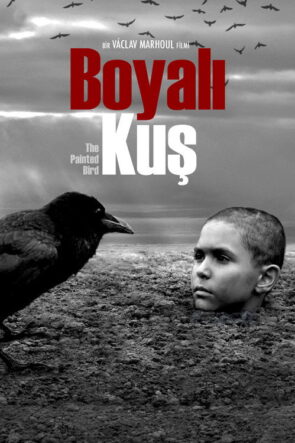 Paranın Kokusu izle (2018)