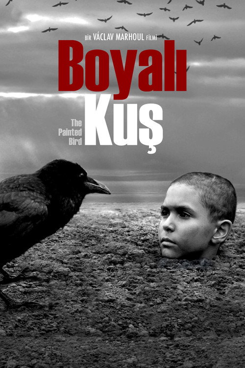 Paranın Kokusu izle (2018)