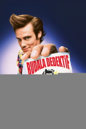 Budala Dedektif izle (1994)