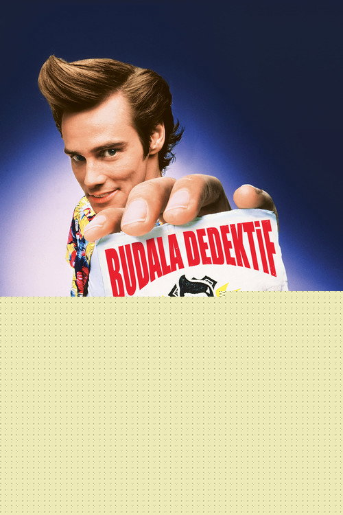 Budala Dedektif izle (1994)