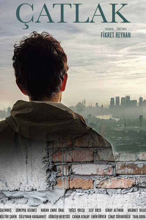 Çatlak izle (2020)