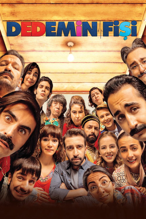 Dedemin Fişi izle (2016)