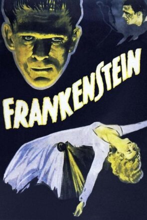 Frankenstein izle (1931)