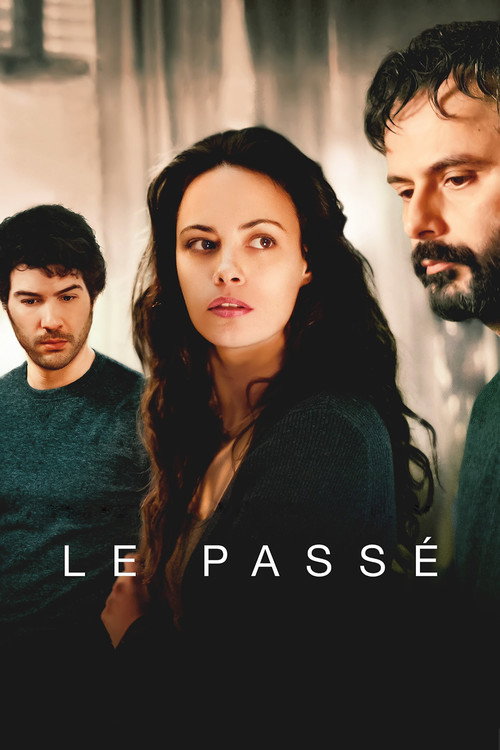 Geçmiş izle (2013)