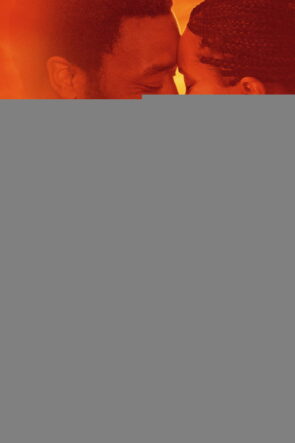 Half of a Yellow Sun izle (2013)