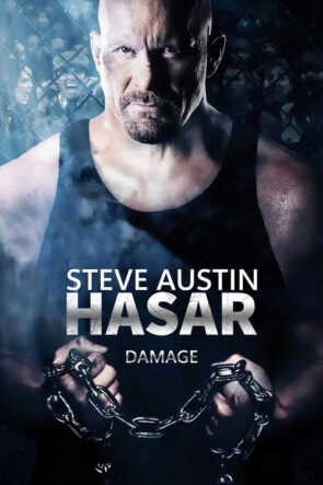 Hasar izle (2009)