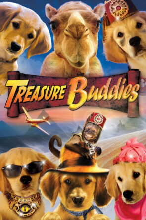 Hazine Bekçileri izle (2012)