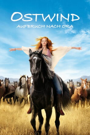 Kasırga 3 izle (2017)