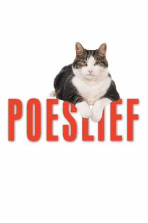 Kedi Aşkına izle (2020)