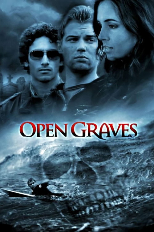 Lanetli Oyun izle (2009)