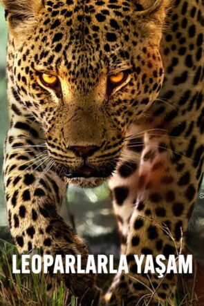 Leoparlarla Yaşam izle (2024)