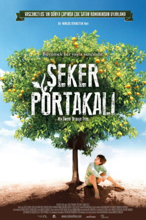 Şeker Portakalı izle (2012)