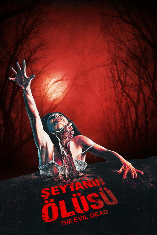 Şeytanın Ölüsü izle (1981)