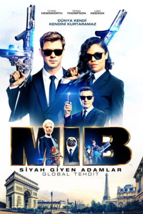 Cinayet Günlüğü izle (2003)
