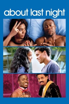 Tek Gecelik Aşk izle (2014)