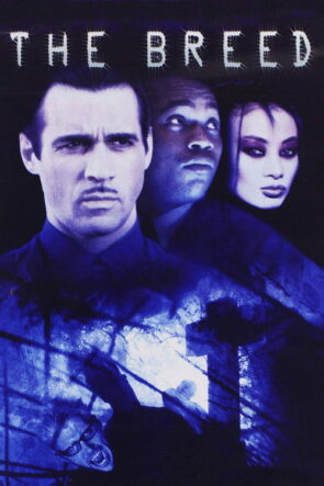 Vampirlerin Dünyası izle (2001)