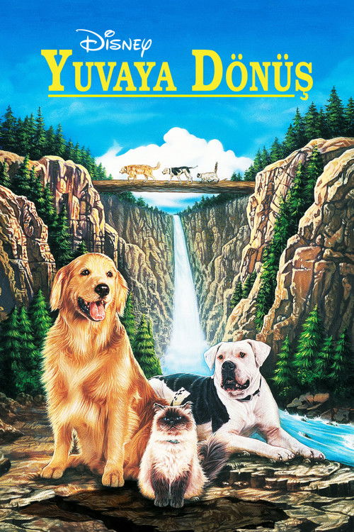 Yuvaya Dönüş izle (1993)