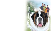 Afacan Köpek Beethoven 4 izle (2001)