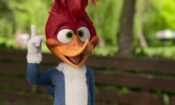 Ağaçkakan Woody Yaz Kampında izle (2024)