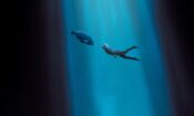 Blueback izle (2022)