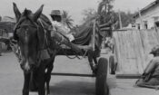 Borom sarret izle (1963)