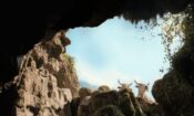 Delik izle (2021)
