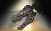 Dinosaur 13 izle (2014)