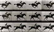 Eadweard izle (2015)