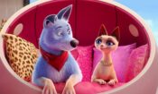 Evcil Hayvanlar Birliği izle (2019)
