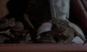 Frogs izle (1972)