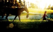 Hayalperest izle (2005)