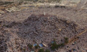 Journey to Mecca: In the Footsteps of Ibn Battuta izle (2009)